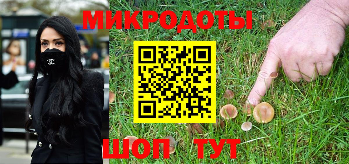 Галлюциногенные грибы Psilocybe Коломна